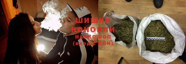 дмт Богородск
