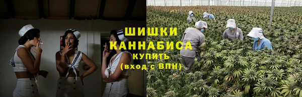 дмт Богородск