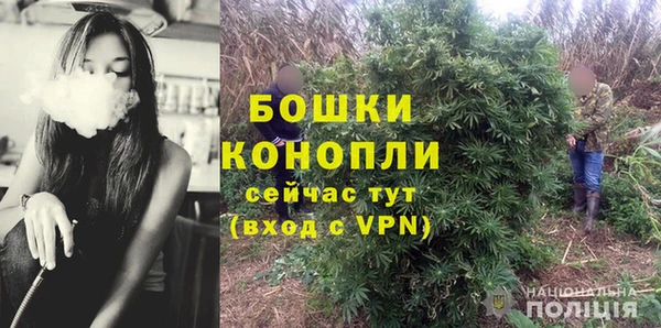 дмт Богородск