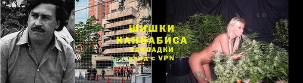 дмт Богородск