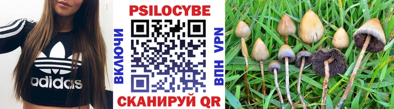 блэк спрут рабочий сайт  Курильск  Галлюциногенные грибы GOLDEN TEACHER  где купить наркоту 