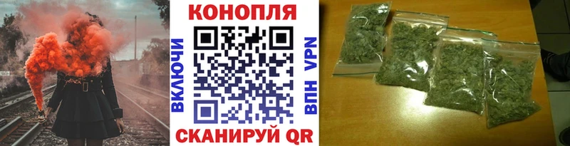 Бошки Шишки SATIVA & INDICA  цена наркотик  Курильск 